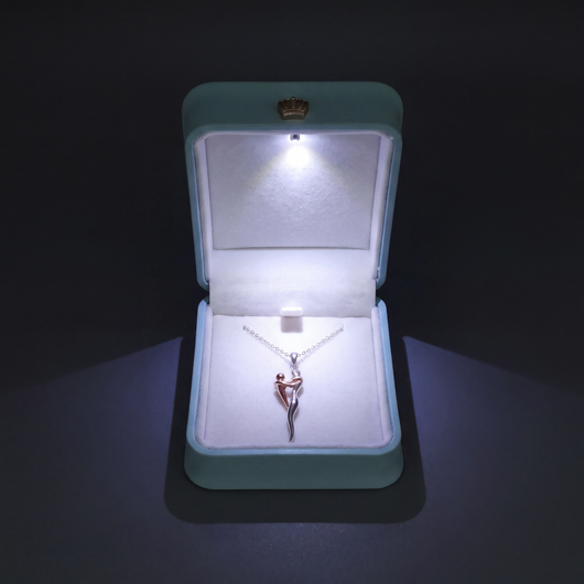 LED Presentation Box