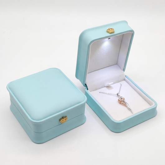 LED Presentation Box